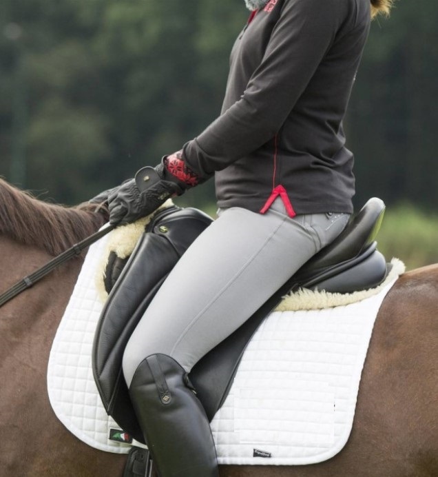 Profetie Wasserette Parelachtig Wat heb ik nodig bij paardrijden? | Manege Hooidonk